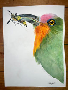 Red-Bearded Bee-Eater