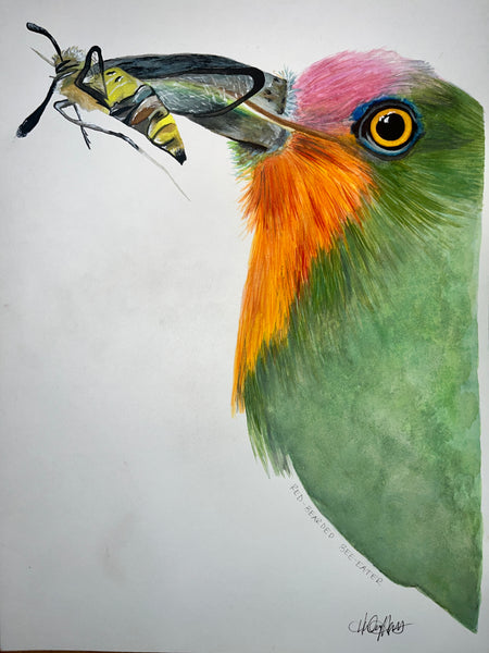 Red-Bearded Bee-Eater