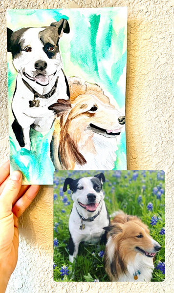 Pet Portrait