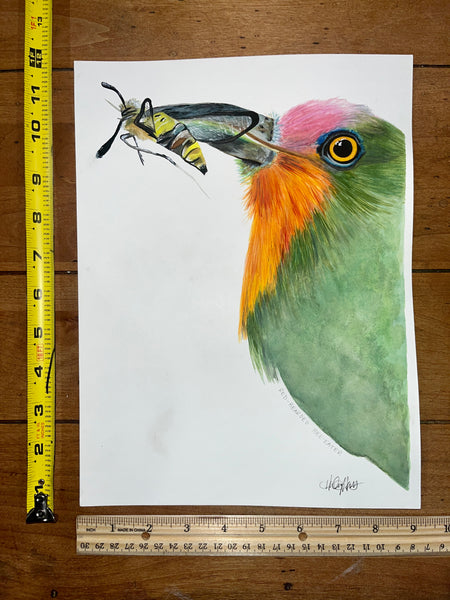 Red-Bearded Bee-Eater